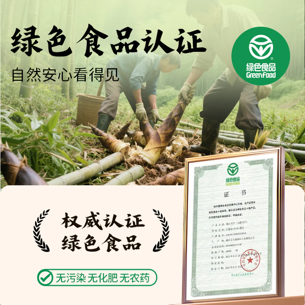 Fanpi Brothers Glutinous Rice Bamboo Shoots (Original Flavour) 248g - Fermented Shredded Bamboo Pickle - Image 4