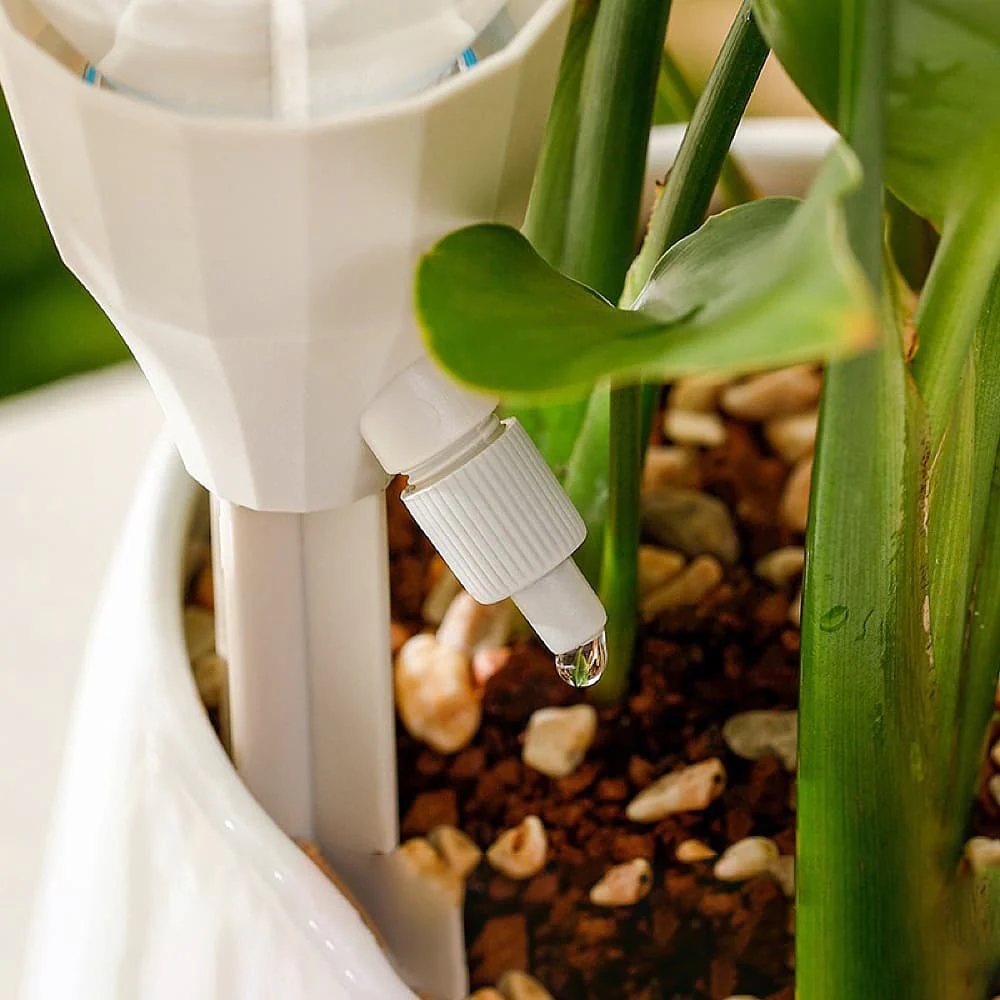 FaSoLa Automatic Watering Device - 17.5*5cm - Image 2