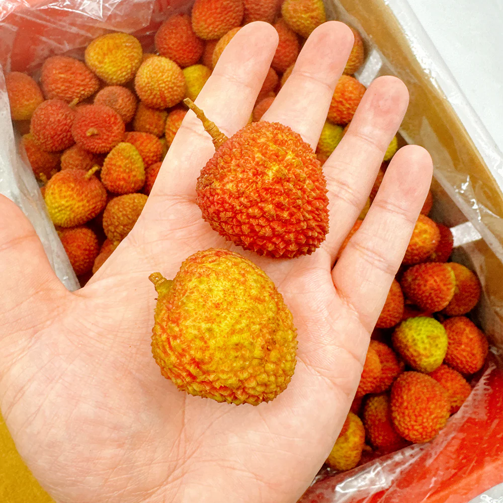 Feizixiao Lychee - 500g - Image 3