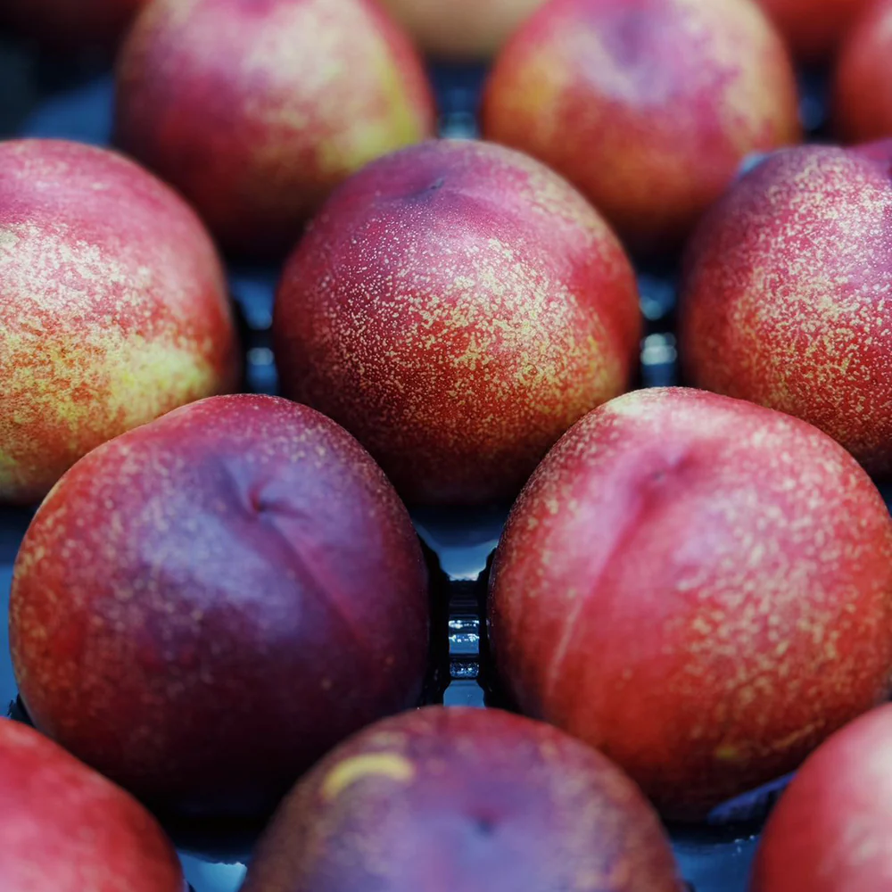 Fresh Air-Flown Large American Nectarines - 2 Pieces