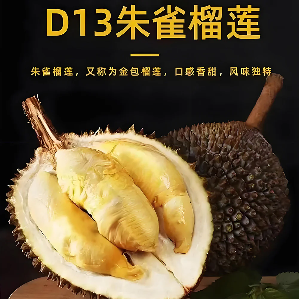 Fresh Air-Flown Tree-Ripened D13 “Zhuque” Durian Pulp 400g – Golden, Creamy Flesh - Image 2