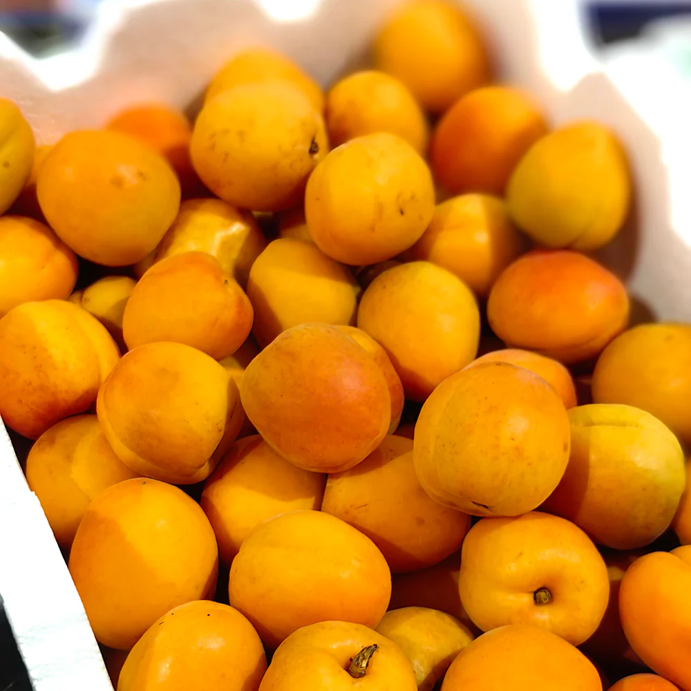 Fresh Apricots - 500g - Image 2