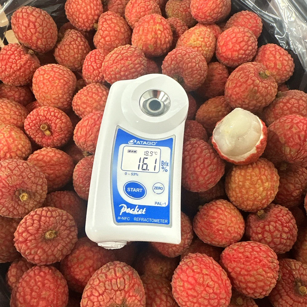 Fresh Australian Lychees - 5kg Carton - Image 2