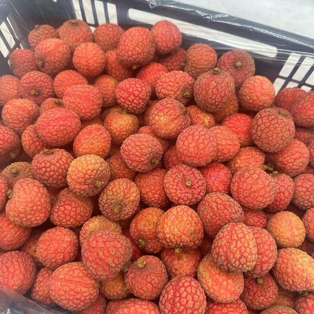 Fresh Australian Lychees - 5kg Carton - Image 3