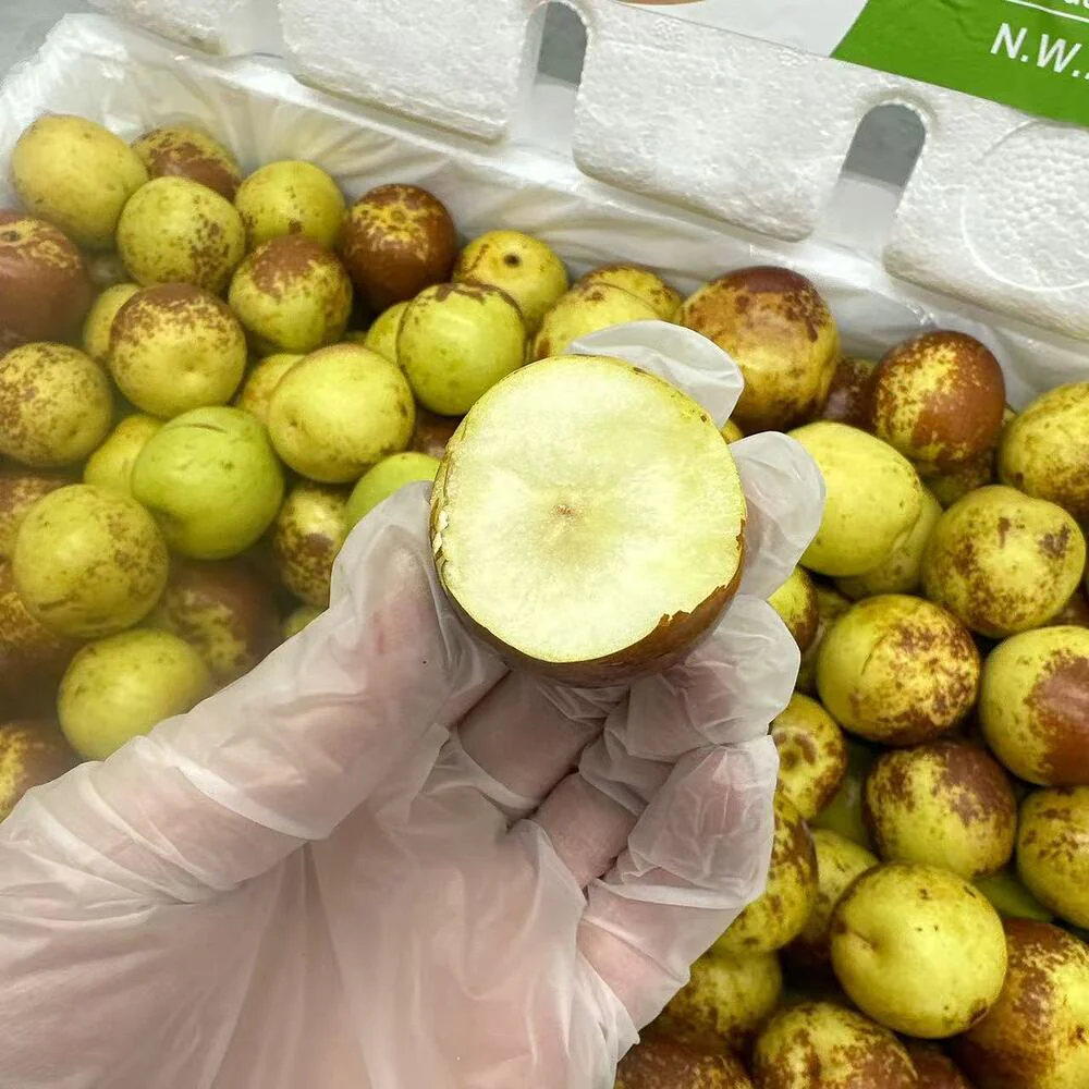 Fresh Chinese Crispy Sweet Jujubes – 4.5kg Box - Image 2