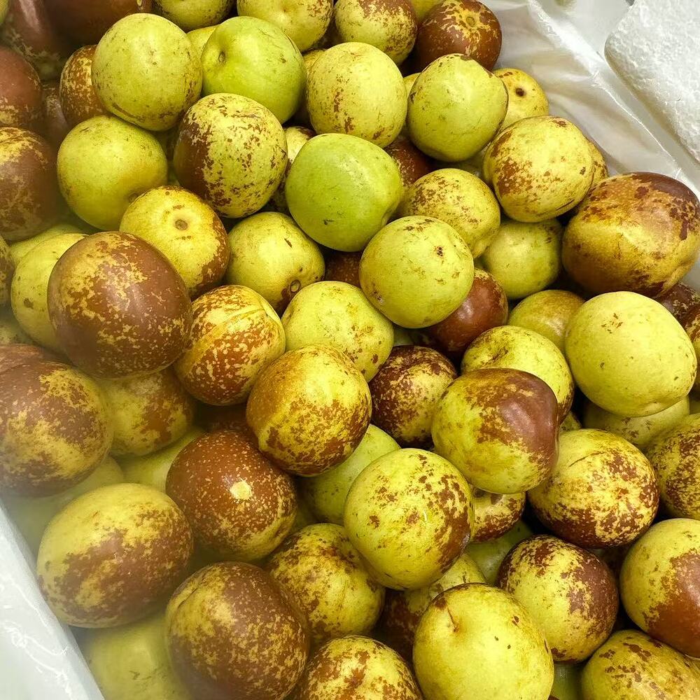Fresh Chinese Crispy Sweet Jujubes – 4.5kg Box - Image 3