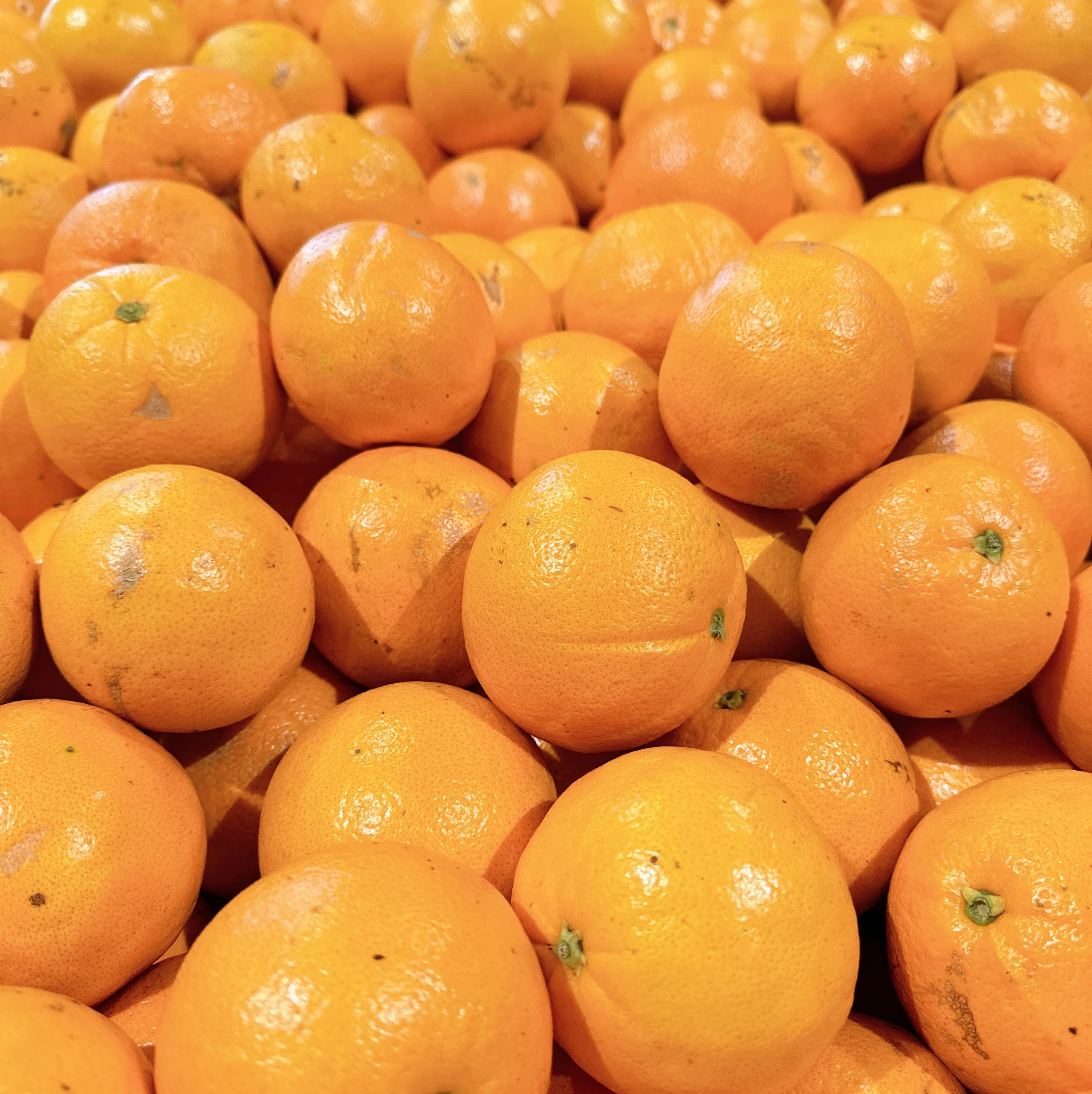 Fresh Easy-Peel Mandarin Oranges - 1kg - Image 2