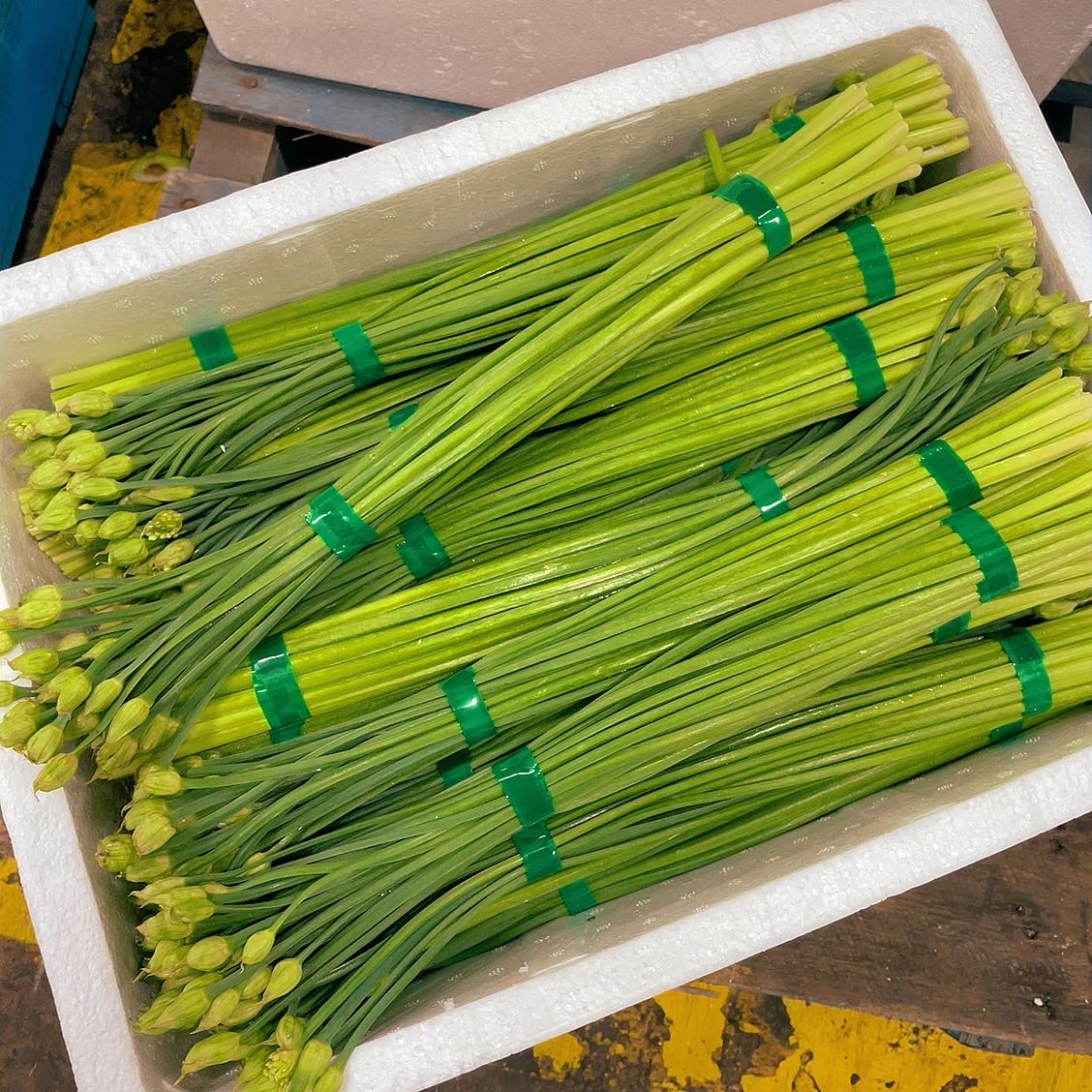 Fresh Garlic Chives Flower - 1 Bundle - Image 2