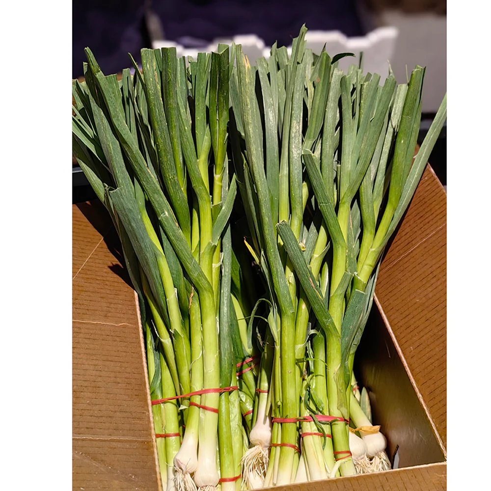 Fresh Garlic Leaves (Green Garlic) - 1 Bundle - Image 4