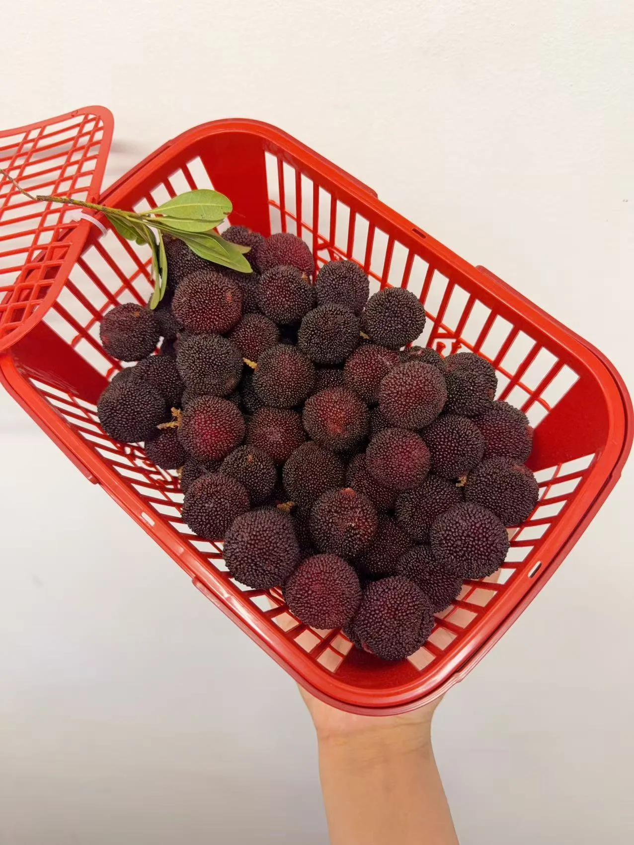 Fresh Heitan Yangmei 200g Punnet - Chinese Bayberries