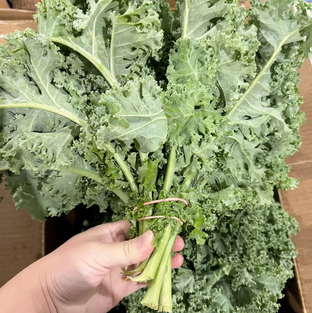 Fresh Kale - 1 Bunch - Image 2