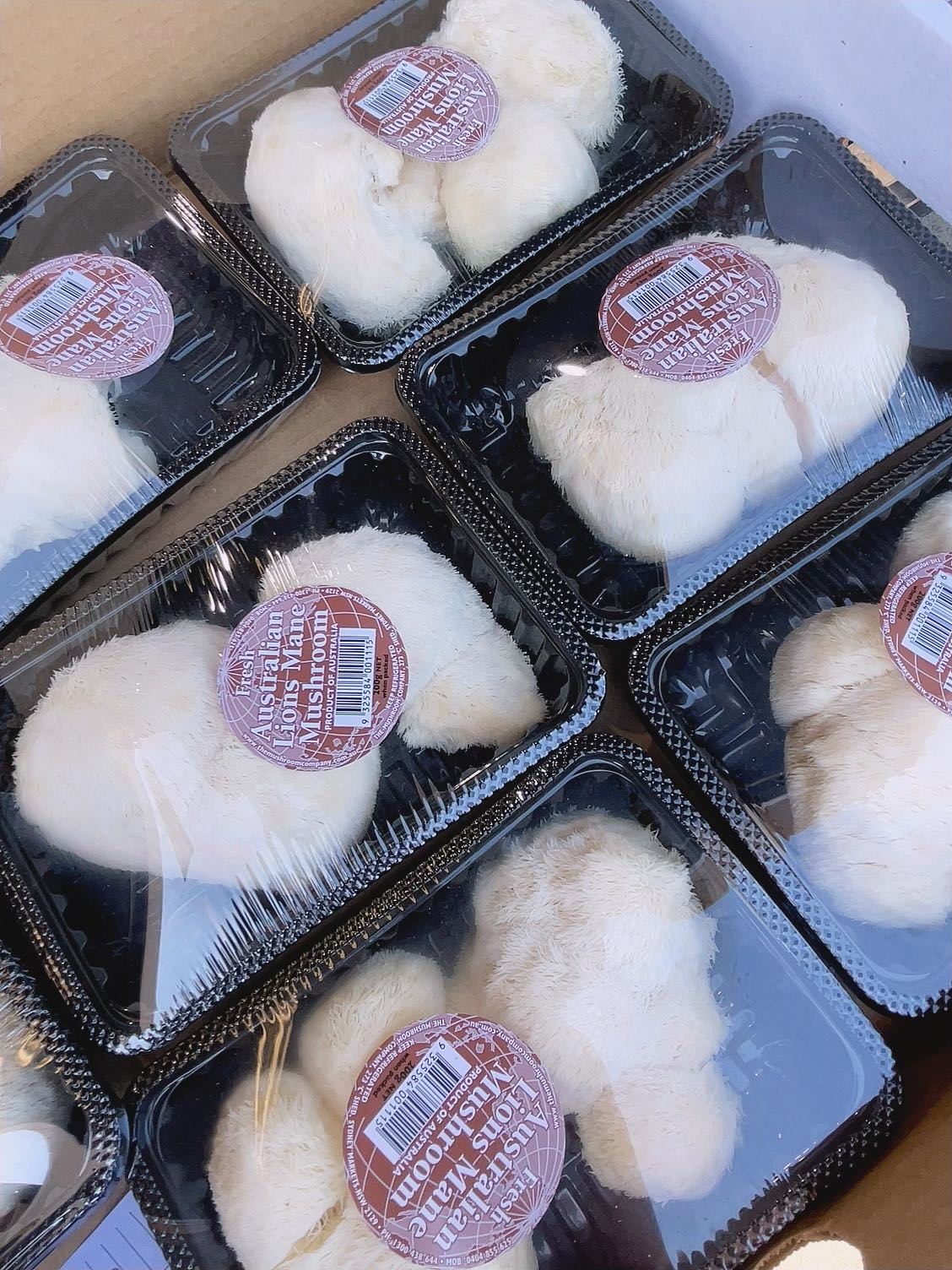 Fresh Lion's Mane Mushrooms - 200g - Image 2
