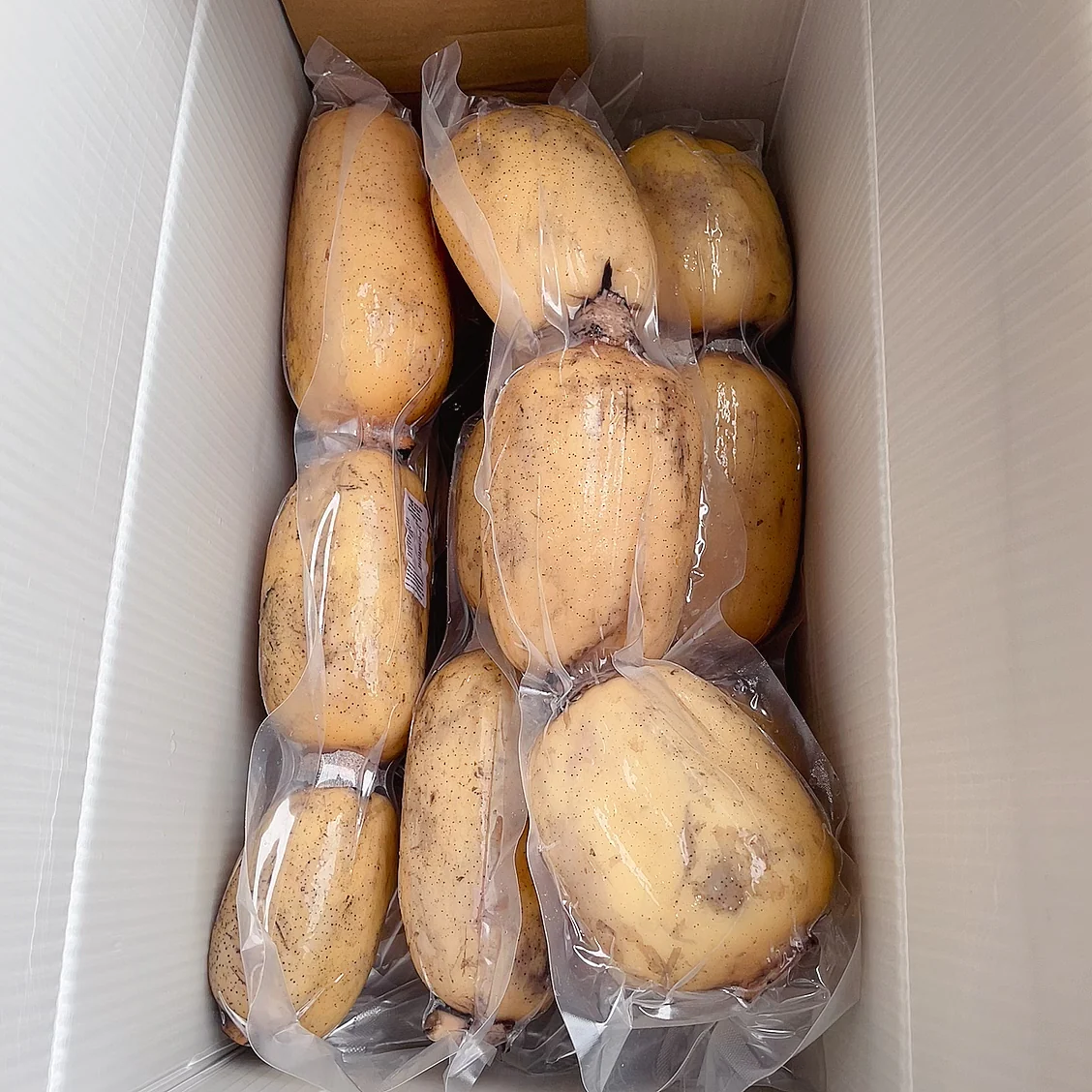 Fresh Lotus Root - 1.24kg