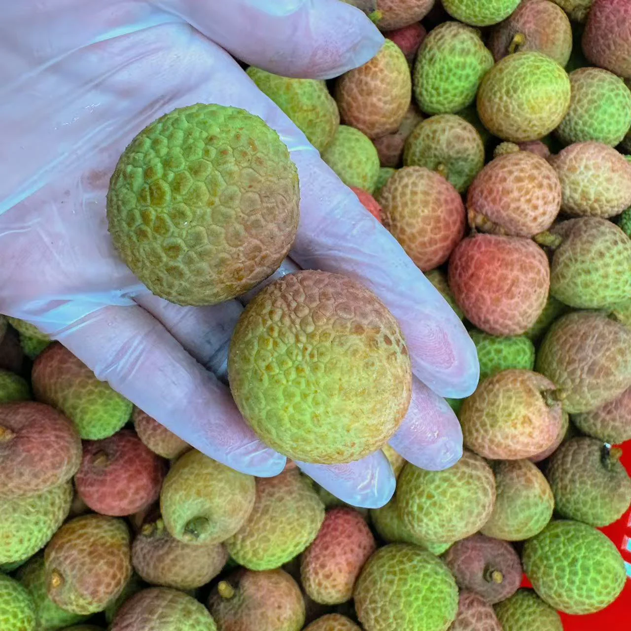 Fresh Osmanthus-Scented Lychee - 500g - Image 2