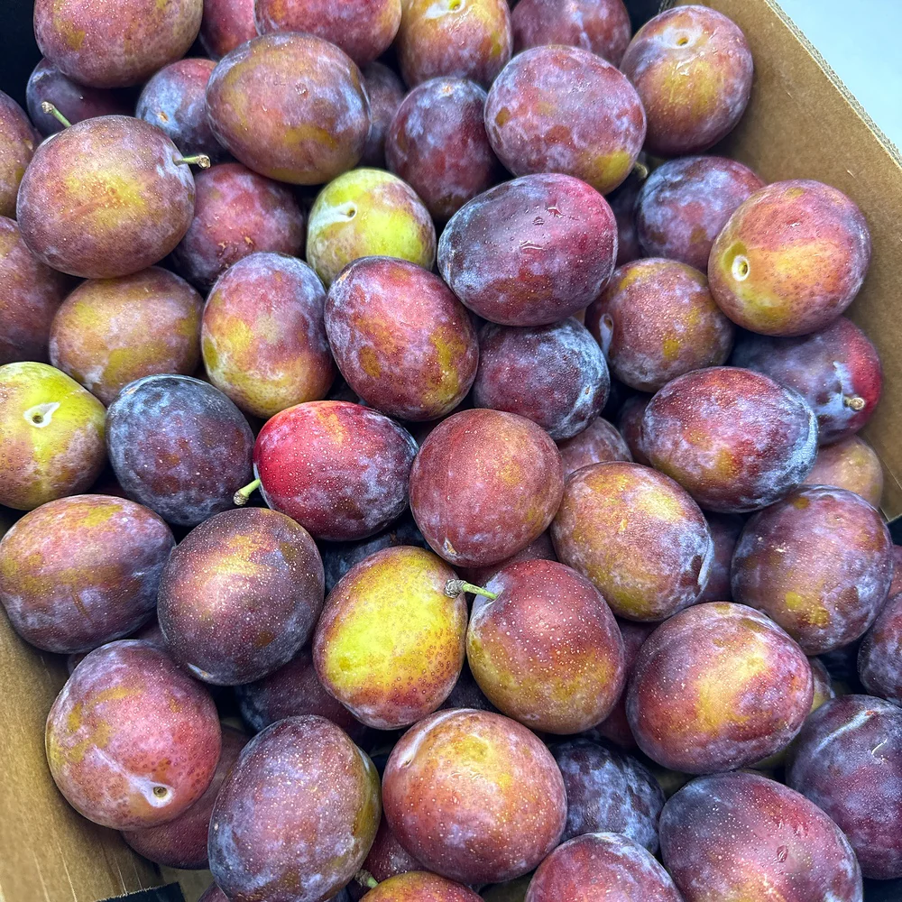 Fresh Plums - 1kg - Image 3