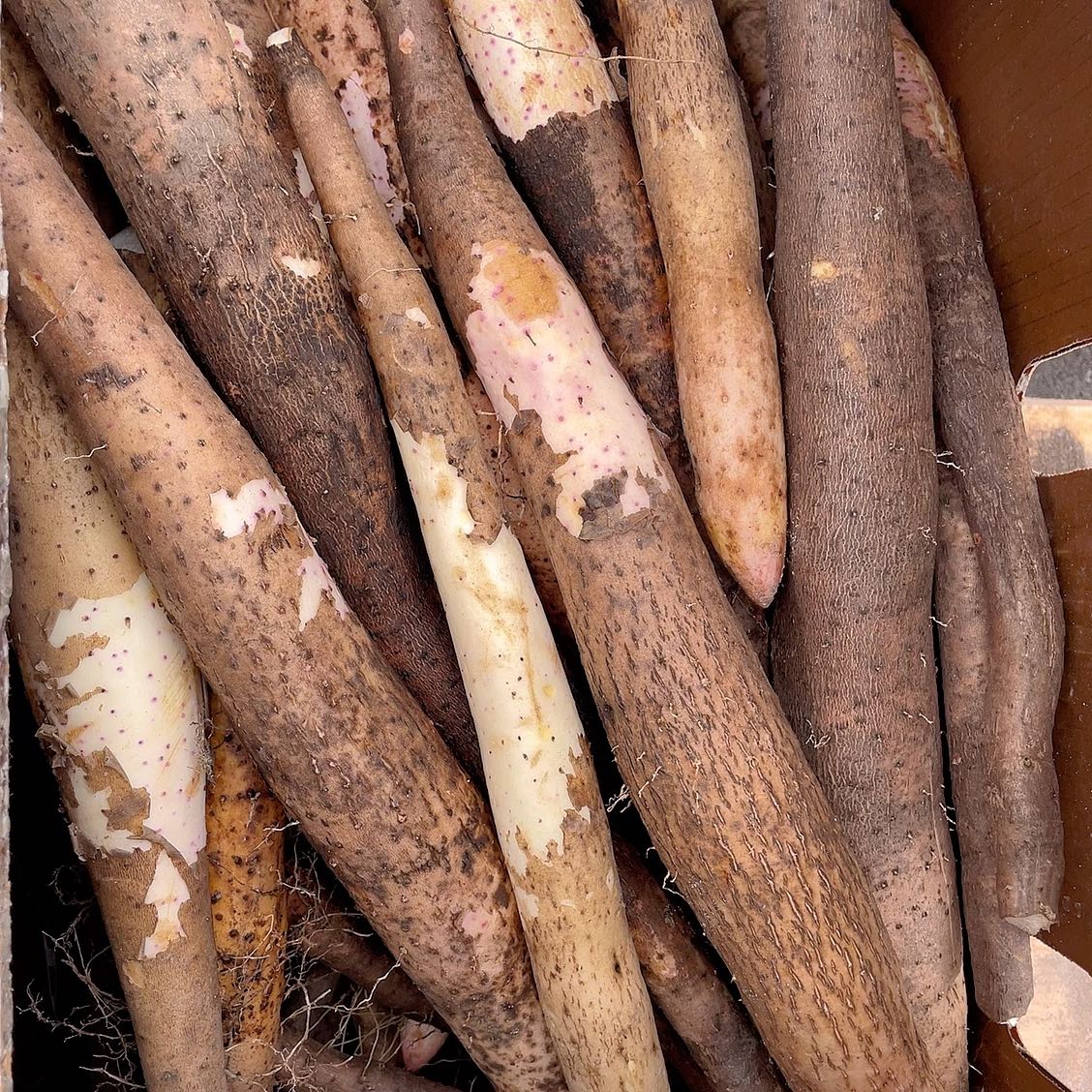 Fresh Premium Local Yam - 1kg - Image 3