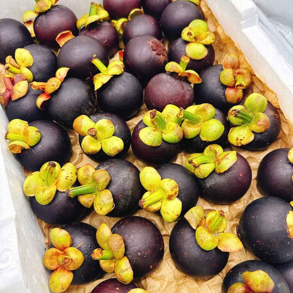Fresh Air-Freighted Mangosteen - 800g - Image 4