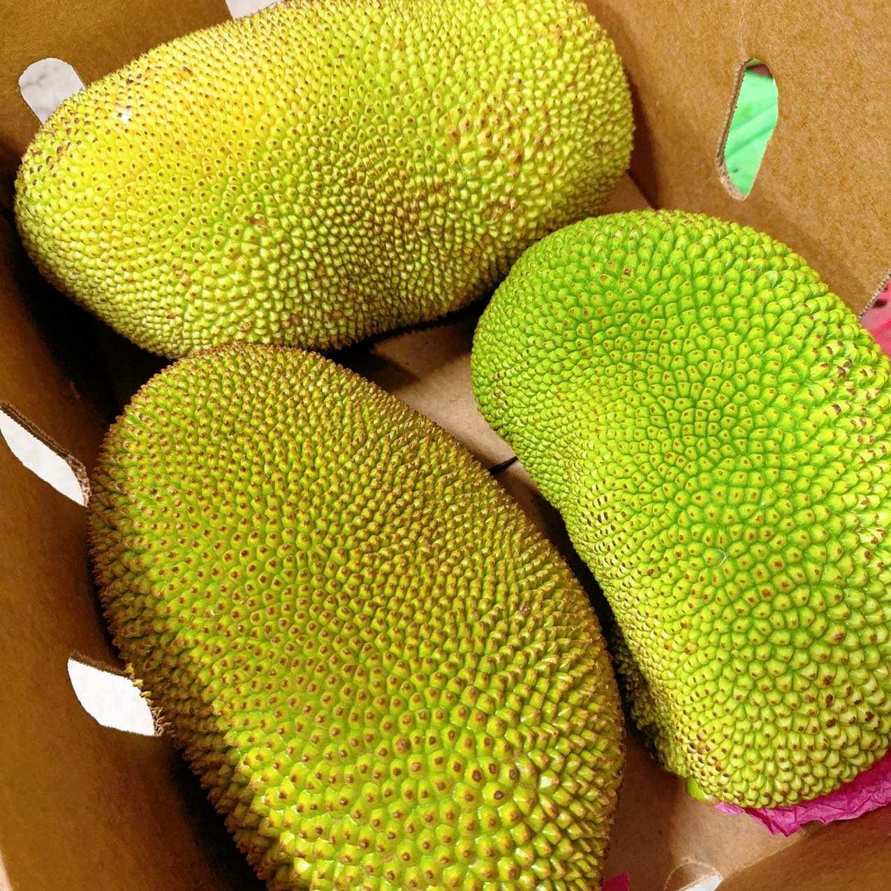 Fresh Umall Own Brand Jackfruit - 1 Piece 2kg - Image 3