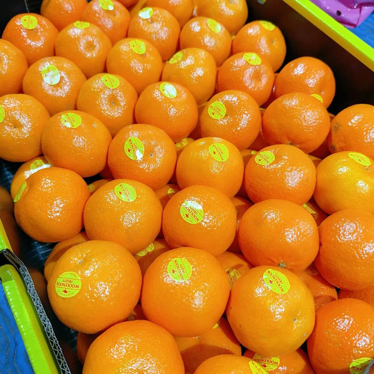 Woolenook Fruits Super Sweet Clementine Oranges 1kg - Image 3