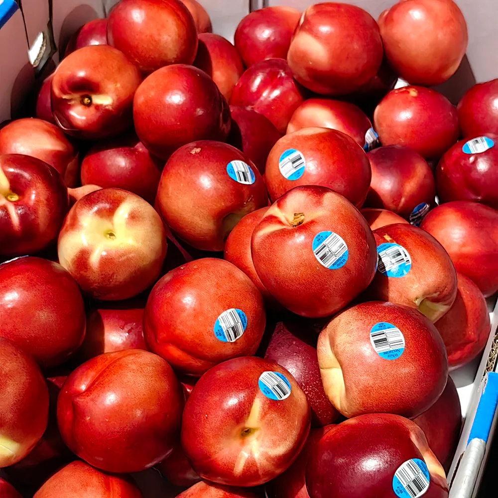 Fresh White Nectarines - 1kg - Image 3