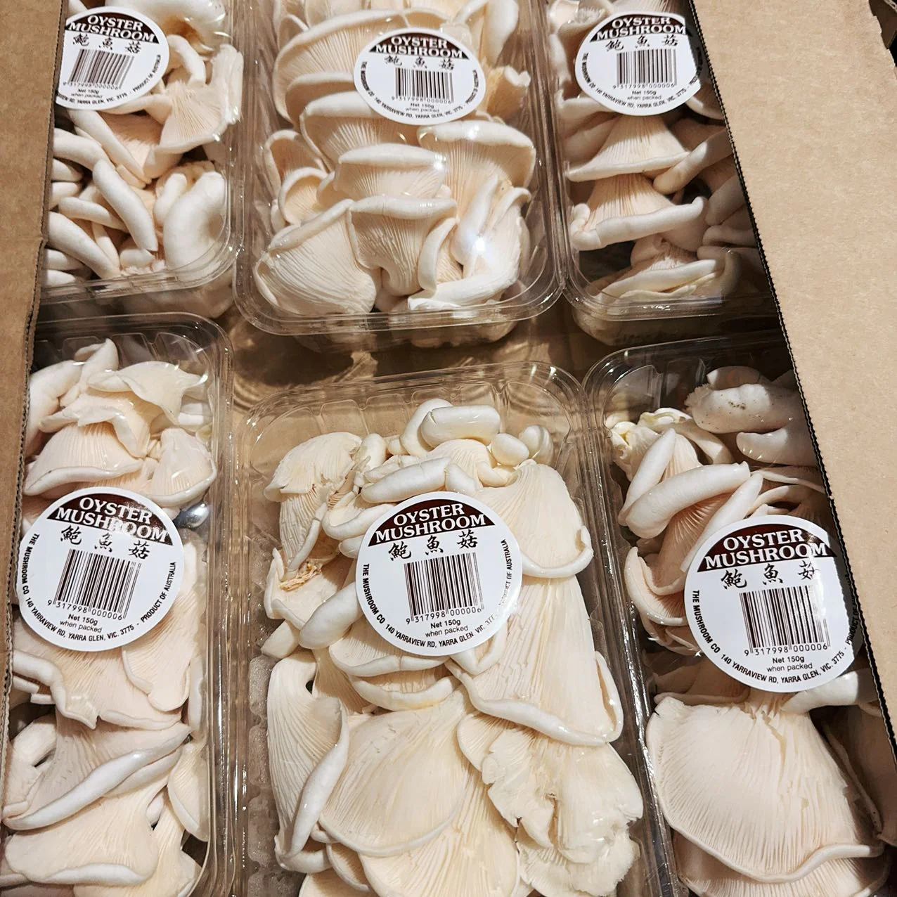 Fresh White Oyster Mushrooms - 1 Box - Image 2