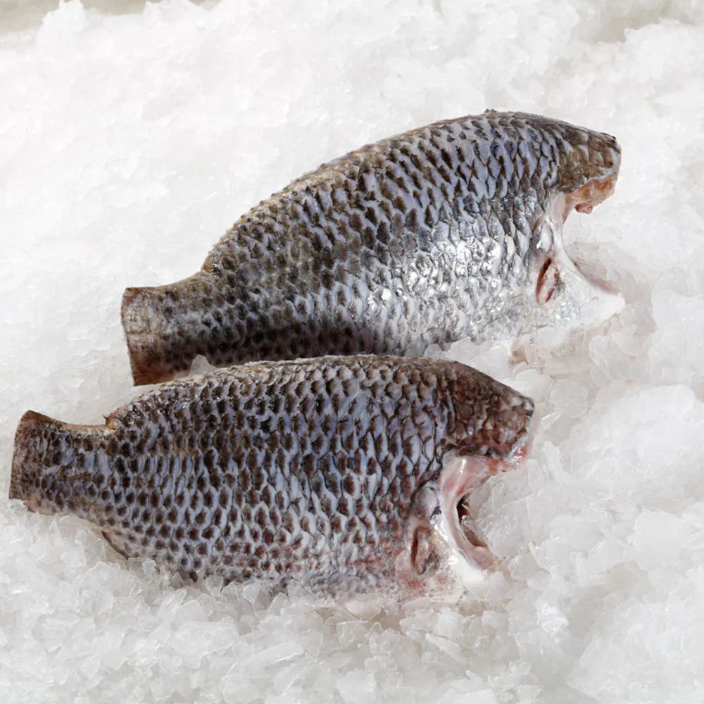 Frozen Cleaned Black Tilapia (Headless, Scaled & Gutted) 900g – Whole Tilapia Fish
