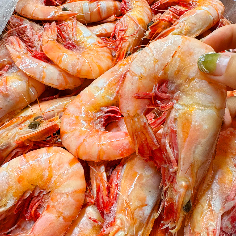 Frozen Cooked King Prawns U10/15 - 1kg - Image 2