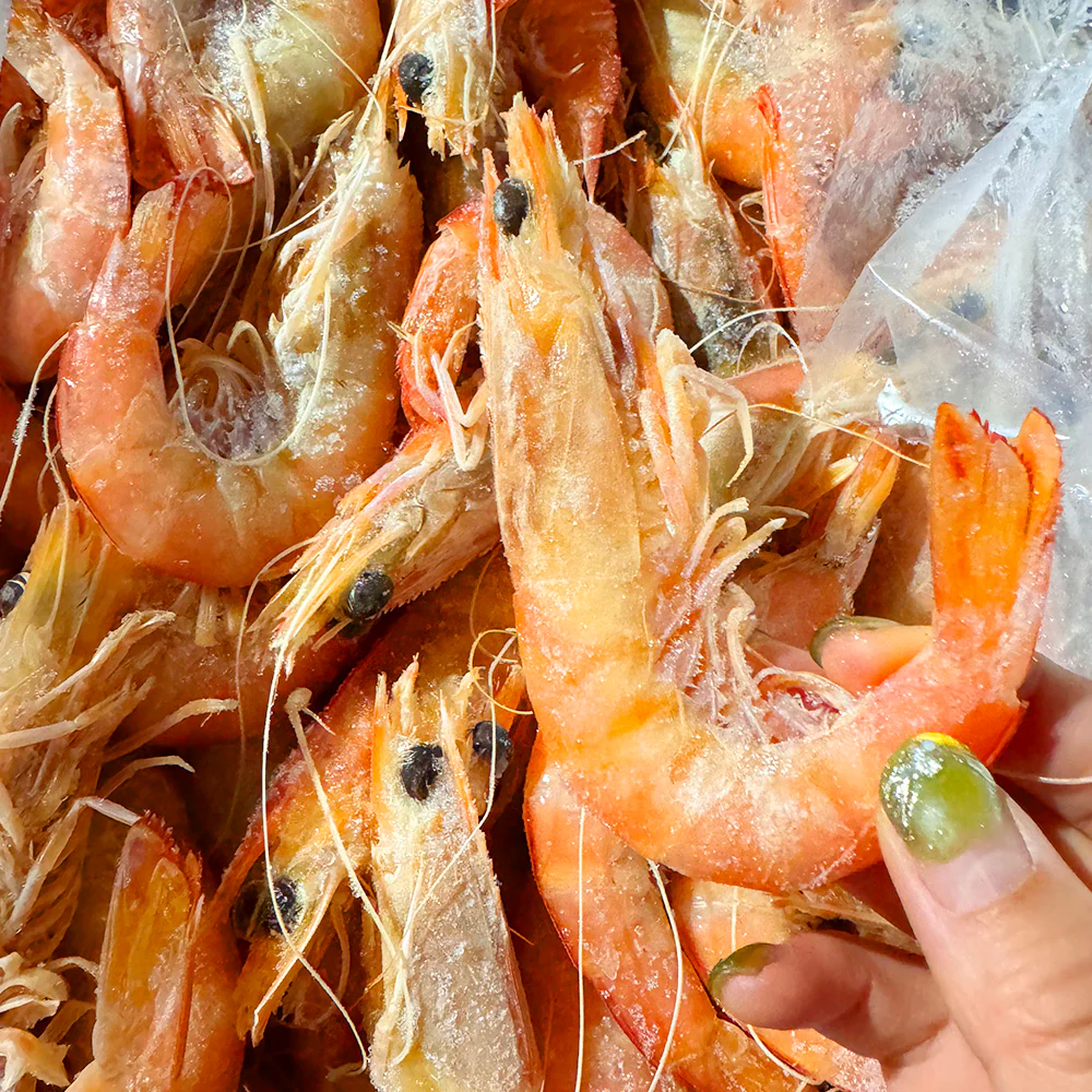 Frozen Cooked King Prawns U10/15 - 1kg - Image 3