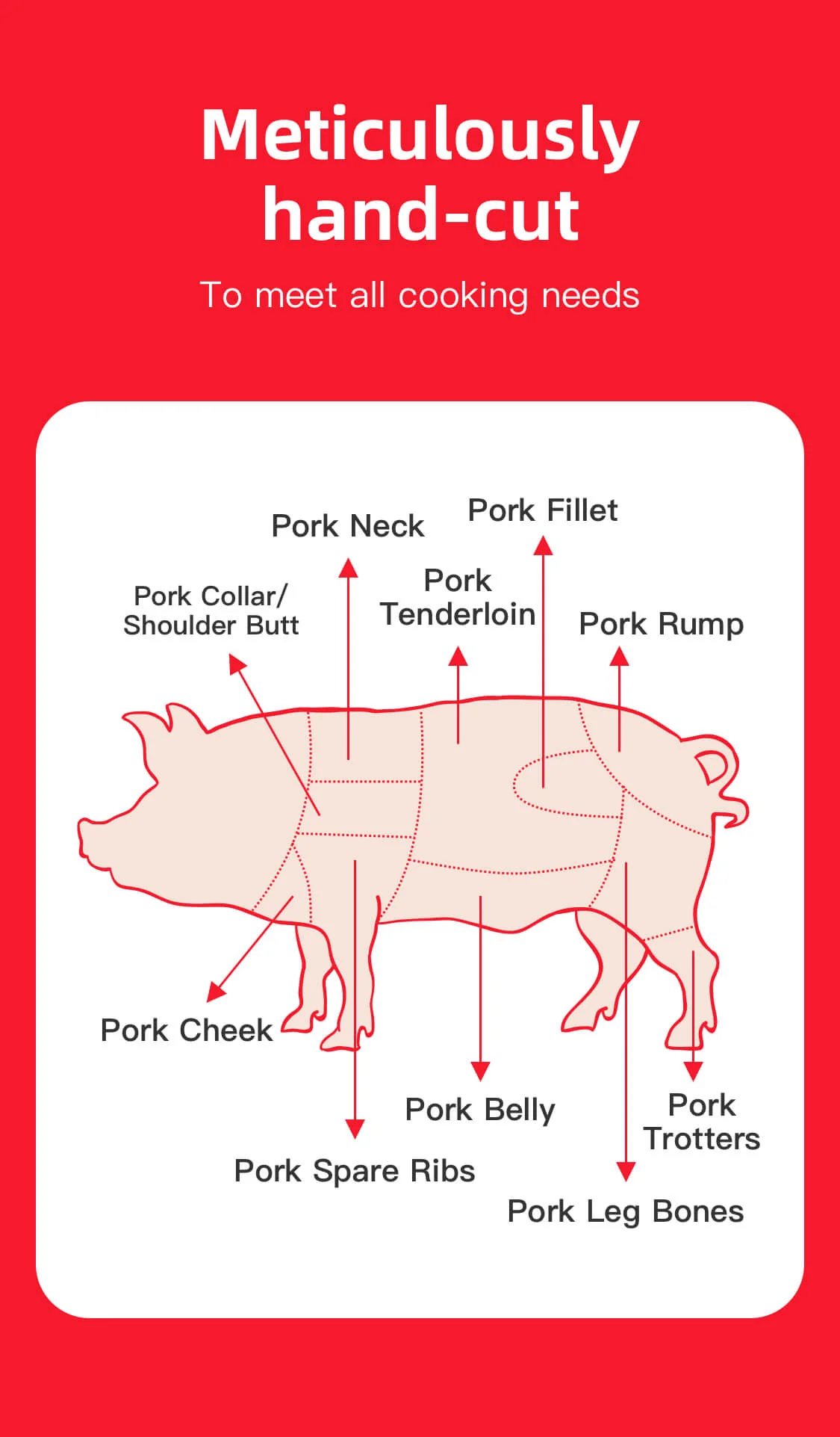 Frozen Premium Baby Pork Ribs (American Ribs) - 1.1kg - Image 4