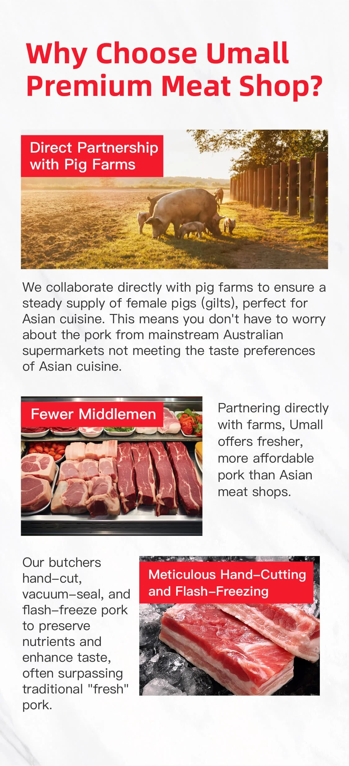 Frozen Premium Baby Pork Ribs (American Ribs) - 1.1kg - Image 7