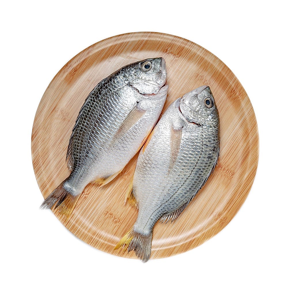 Frozen Fresh Local White Pomfret - 450g
