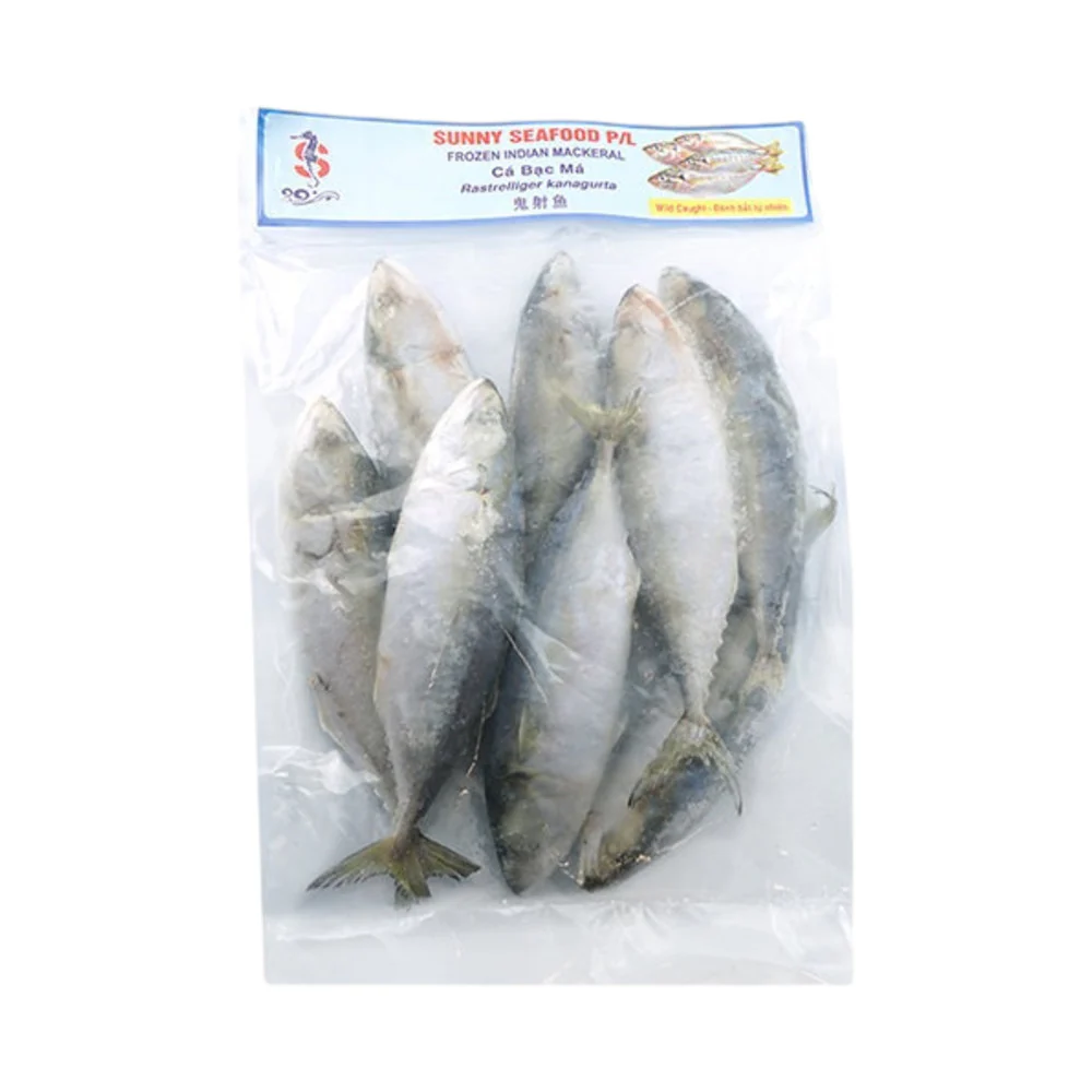 Frozen Indian Mackerel (Whole Fish) 900g – Bangda / Ikan Kembung - Image 2