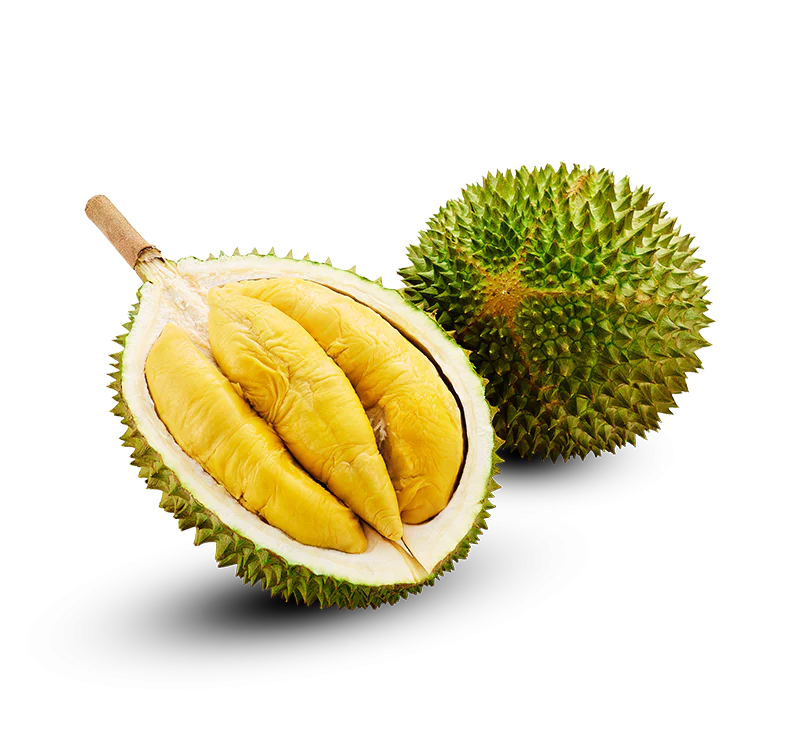 Frozen Netted Musang King Durian - 1.4kg Each