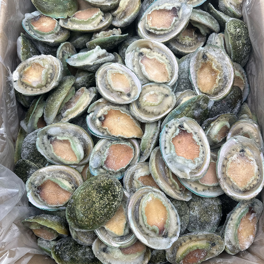 Frozen South Australian Greenlip Abalone - 14 Pieces, 1kg [Limit 1 PP] - Image 2