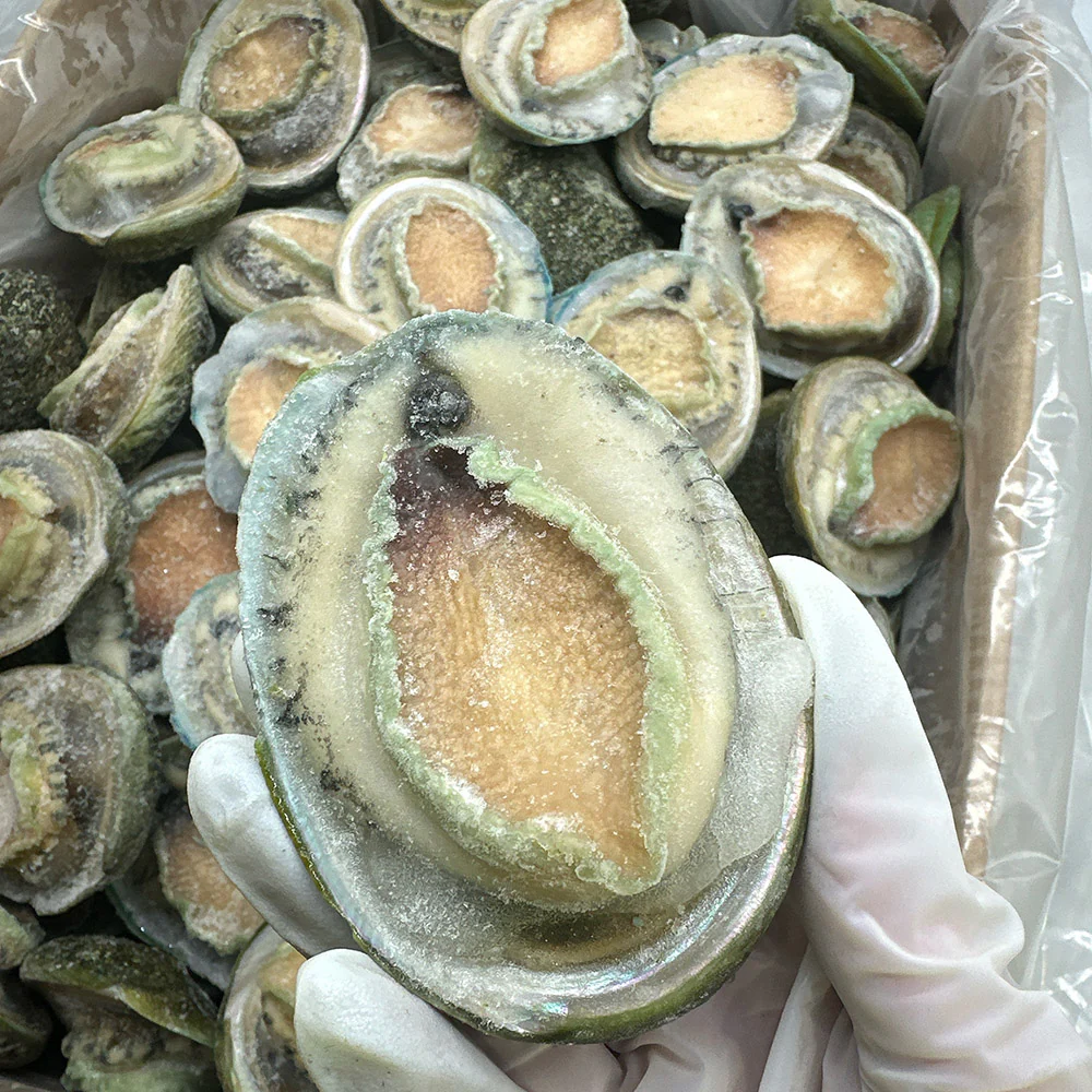 Frozen South Australian Greenlip Abalone - 8 Pieces, 1kg