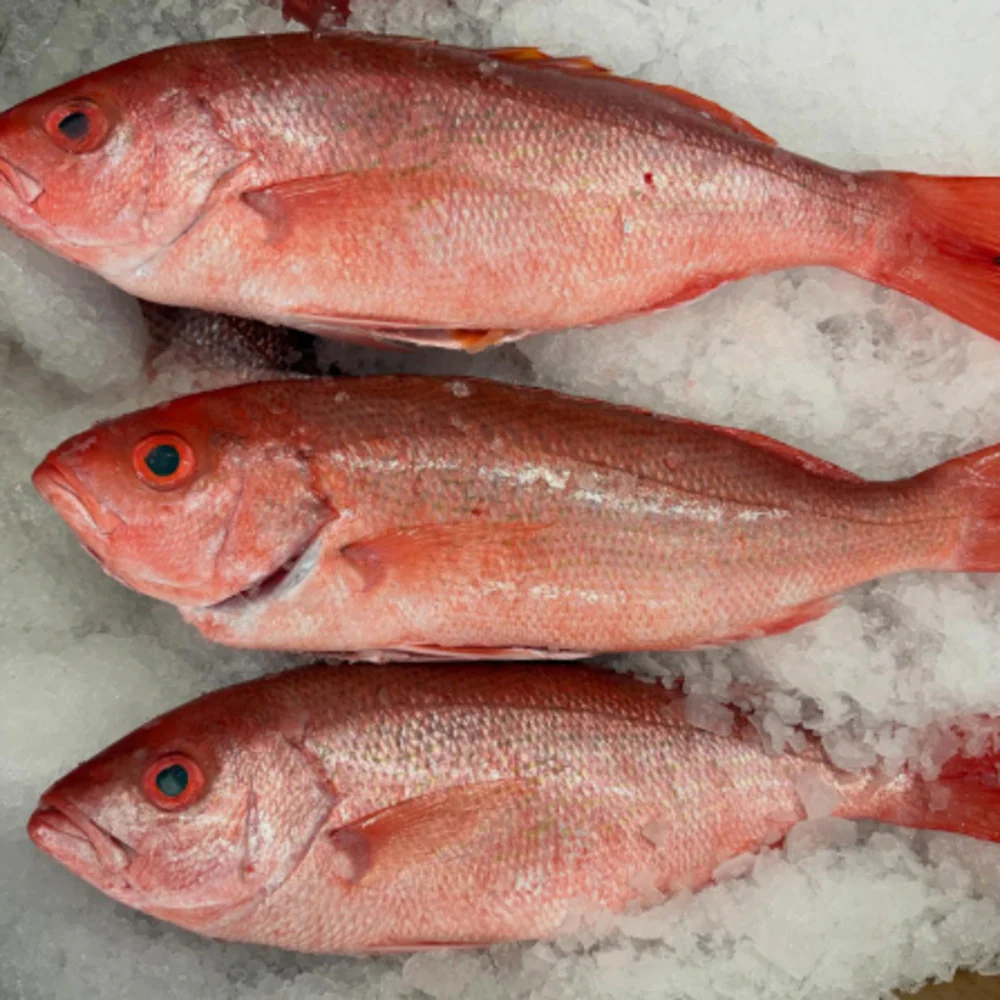 Frozen Whole Local Wild Saddletail Snapper - 2 Fish, 750–950g (Ungutted)