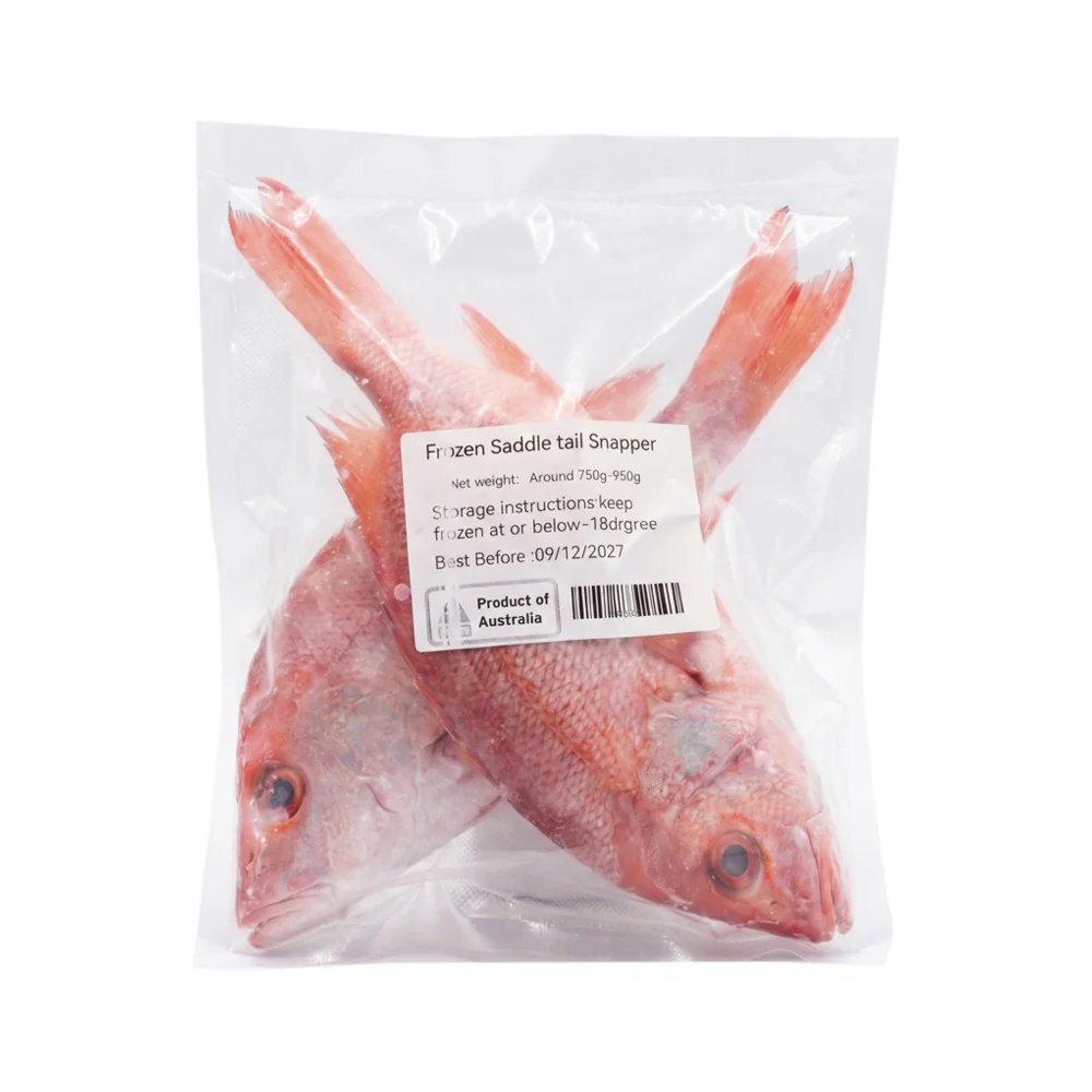 Frozen Whole Local Wild Saddletail Snapper - 2 Fish, 750–950g (Ungutted) - Image 3