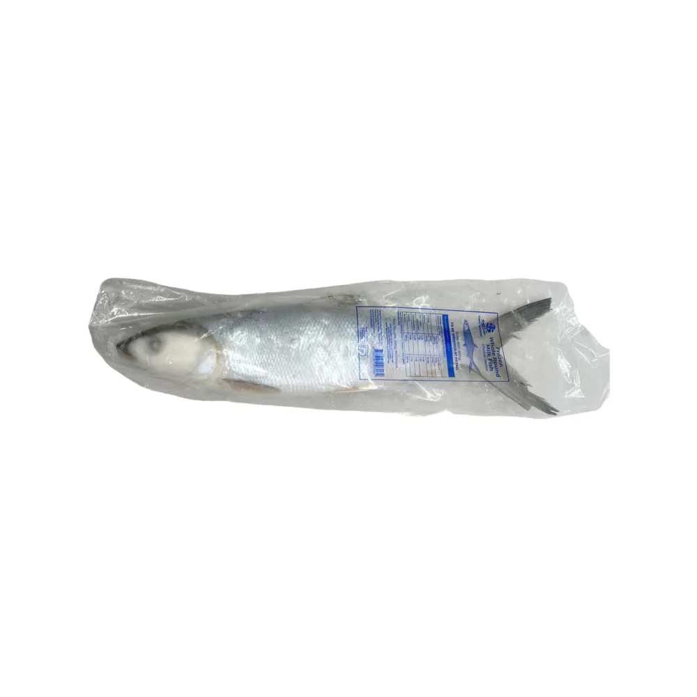 Frozen Whole Milkfish (Scaled and Gutted) - 600g