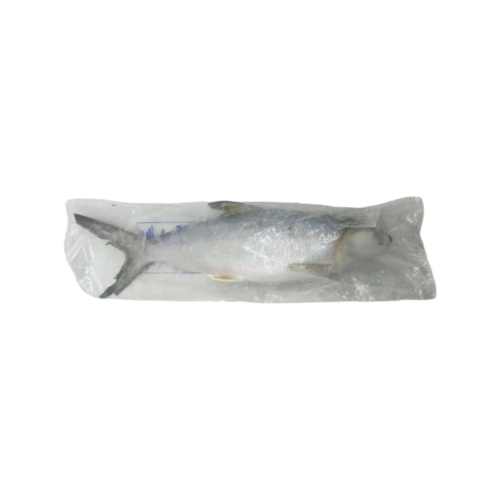 Frozen Whole Milkfish (Scaled and Gutted) - 600g - Image 2