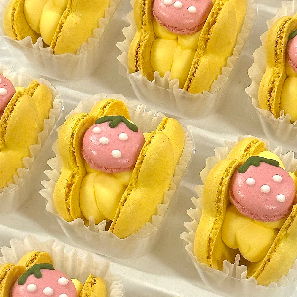 G-LAB Dried Mandarin Macaron - 1 Piece - Image 2