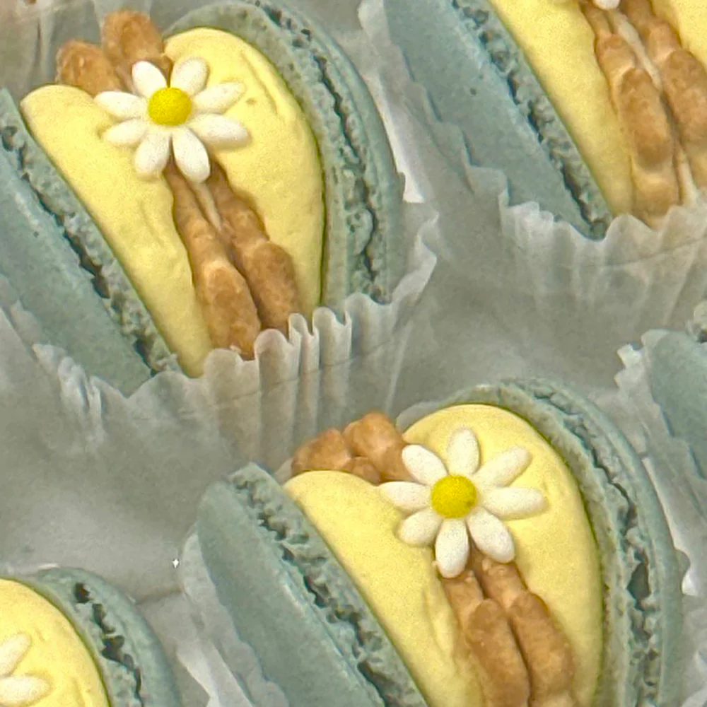 G-LAB Grapefruit Cheese Macaron - 1 Piece - Image 2
