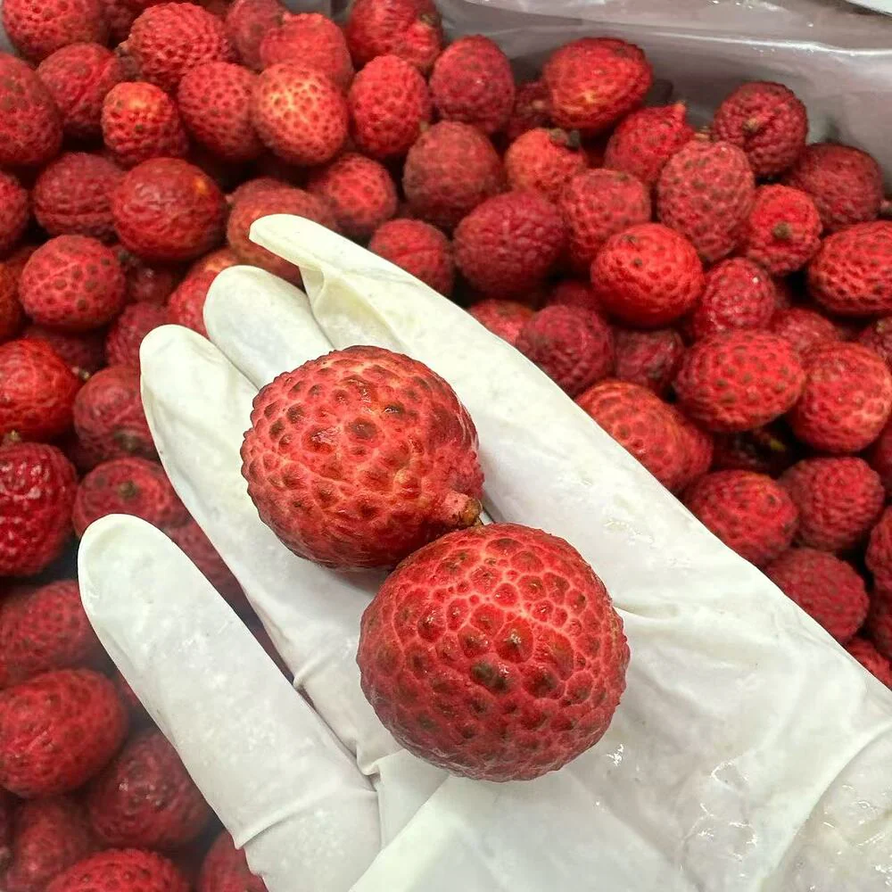 GainGable Salathiel Lychees 500g - Small-Seed Fei Zi Xiao Variety - Image 2