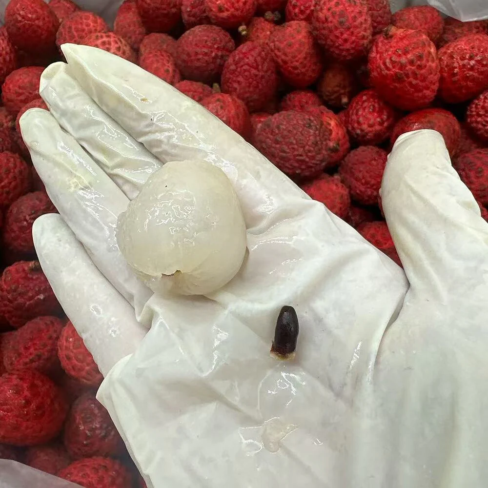 GainGable Salathiel Lychees 500g - Small-Seed Fei Zi Xiao Variety - Image 3