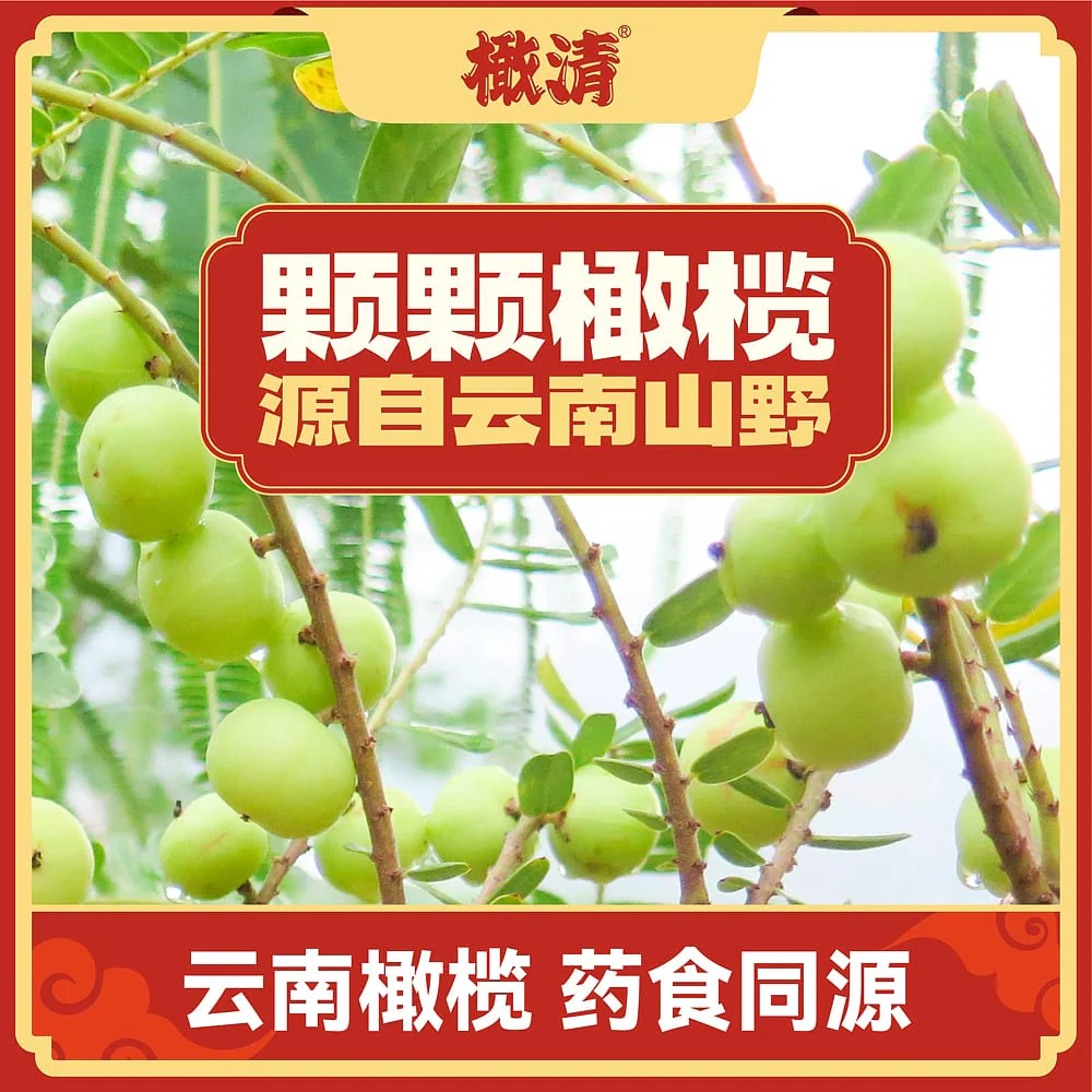 Ganqing Jasmine Olive Juice Drink - 330ml - Image 3