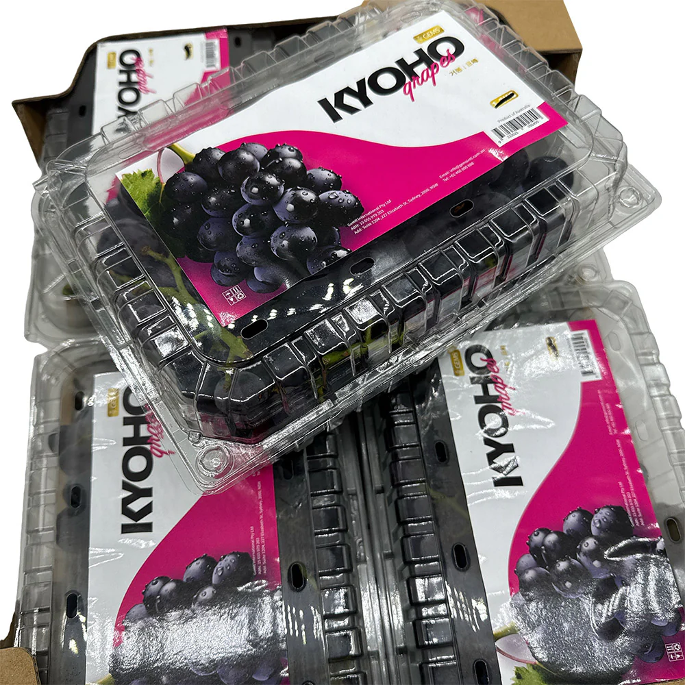 GEMS Kyoho Grapes - Australian Grown, 1kg - Image 2
