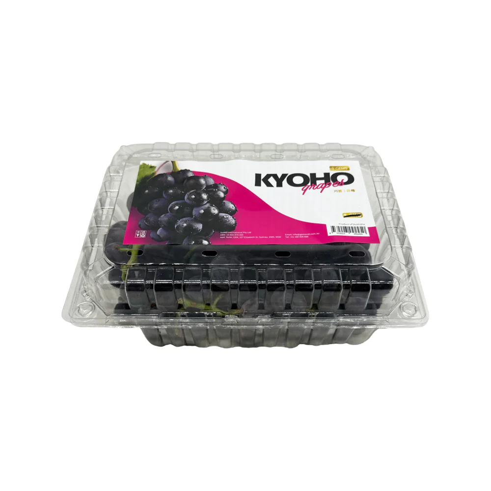 GEMS Kyoho Grapes - Australian Grown, 1kg - Image 4