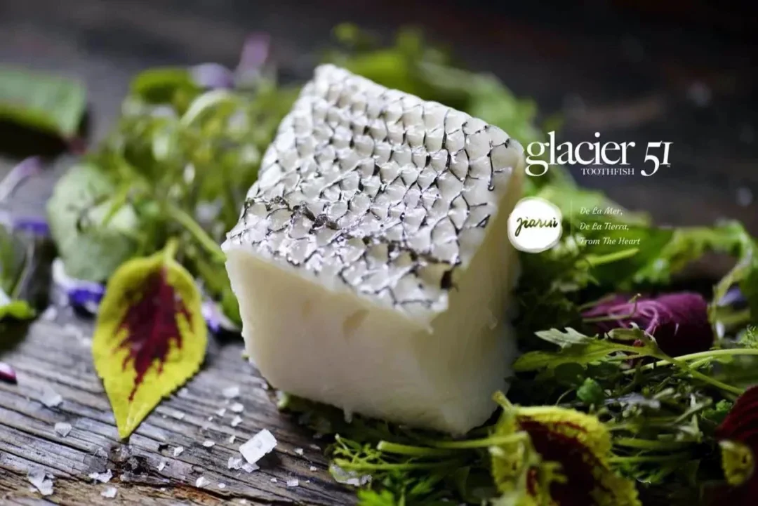Glacier 51 Frozen Antarctic Toothfish - 150g - Image 6