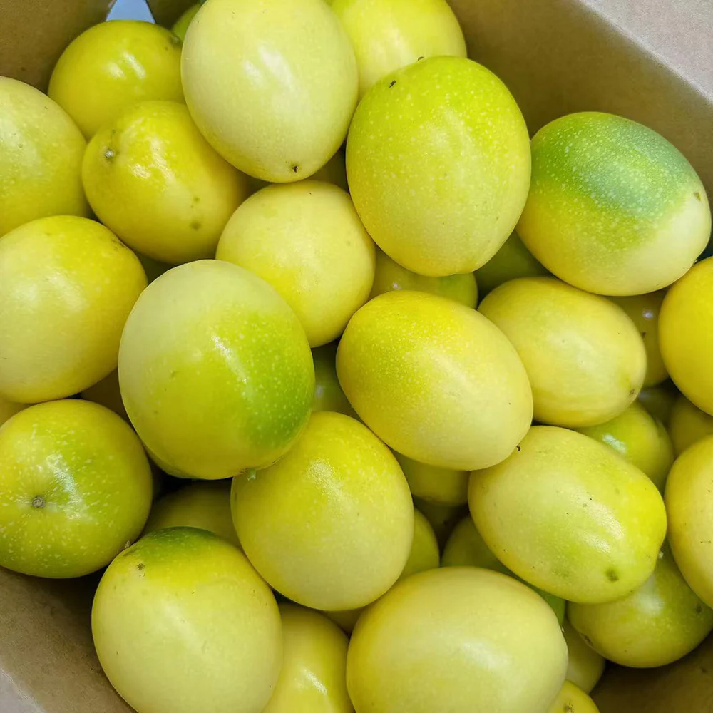 Golden Passion Fruit - 3 Pieces - Image 2