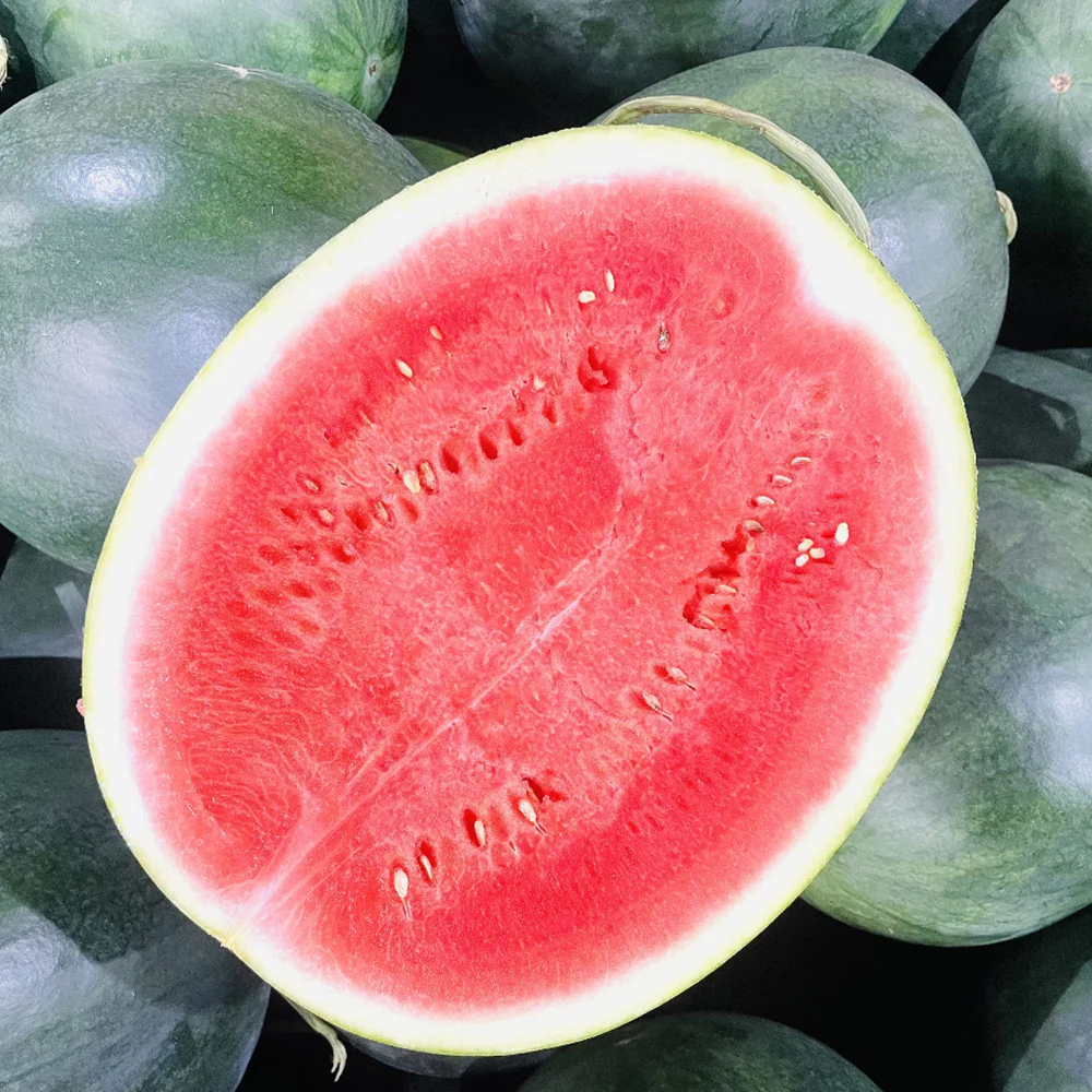 Green-Skinned Watermelon - 5kg