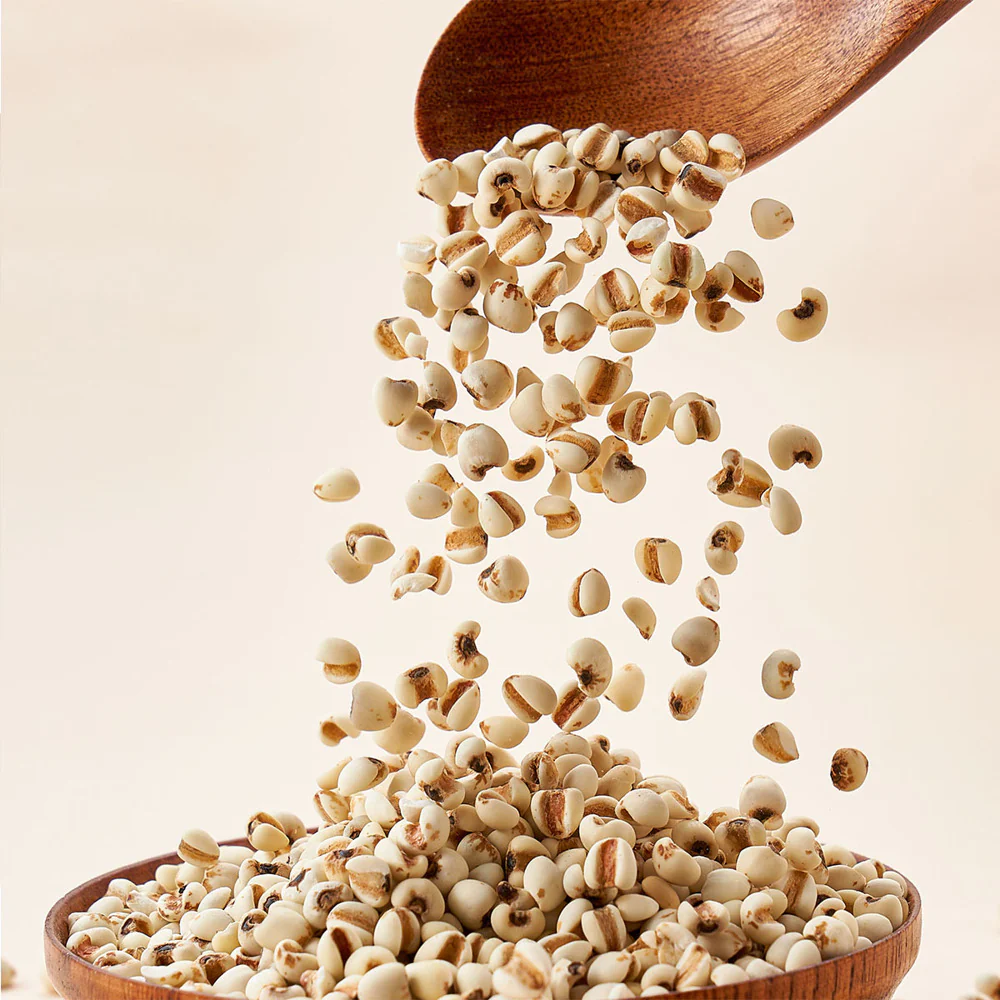 GuYue Renjia Small Coix Seeds 500g – Limited Import - Job's Tears (Adlay) - Image 2